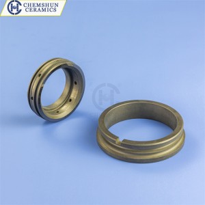 Sintered Ceramic SIC Seal Ring