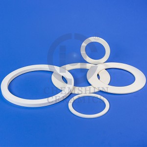 Alumina Ceramic Rings