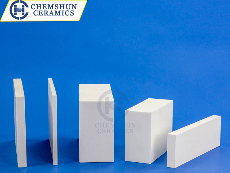 Introduction of alumina wear resistant ceramics